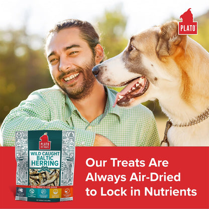 Plato Single Ingredient Wild-Caught Baltic Herring Dog Treats, Air-Dried Whole Fish, Omega-Rich Skin & Coat Support, 8.5 oz