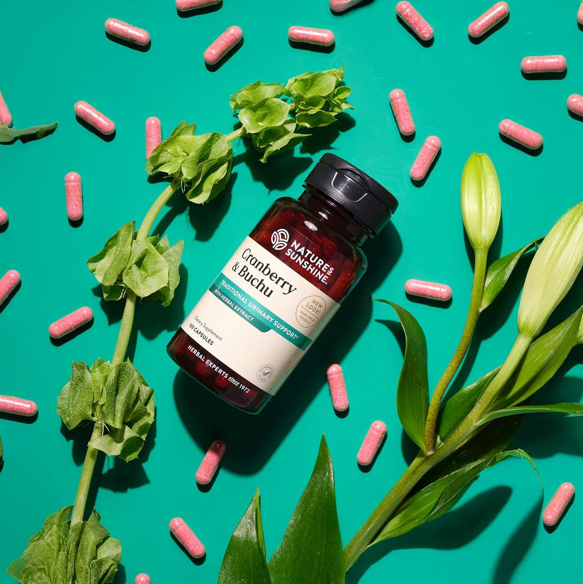 Nature's Sunshine Cranberry and Buchu Concentrate 100 Capsules