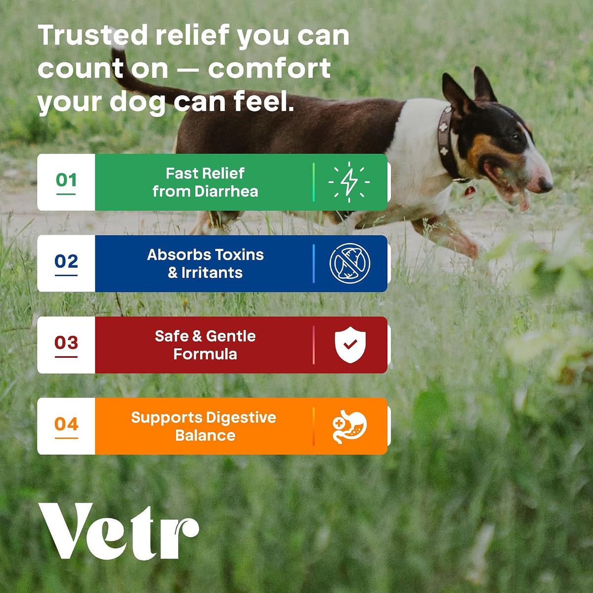 Vetr Anti-Diarrhea & Gas Relief for Dogs - Kaolin Liquid Formula for Fast Upset Stomach Soothing & Digestive Support - All Breeds & Sizes - 8 oz (240mL) - Vet-Formulated in USA