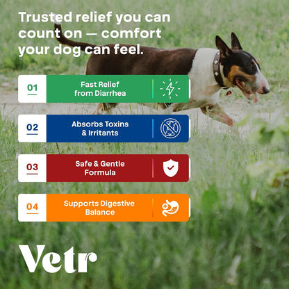 Vetr Anti-Diarrhea & Gas Relief for Dogs - Kaolin Liquid Formula for Fast Upset Stomach Soothing & Digestive Support - All Breeds & Sizes - 8 oz (240mL) - Vet-Formulated in USA