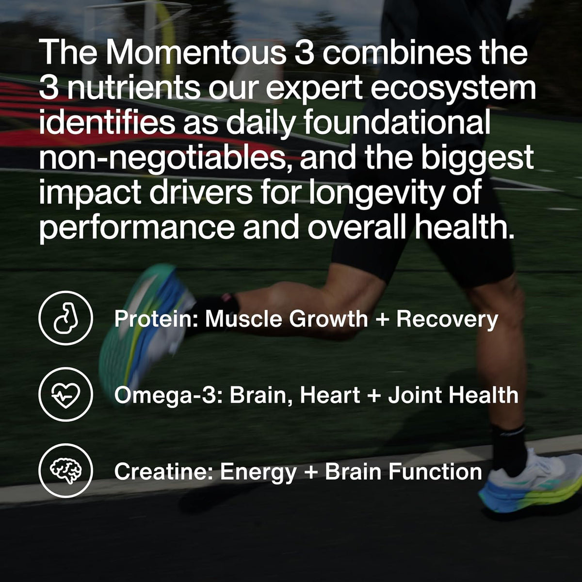 Momentous Three - Creatine Monohydrate Powder (90 Servings), Grass-Fed Whey Protein Powder (Chocolate) & Omega-3 Fish Oil 1600mg - Daily Essentials for Strength, Performance & Lean Muscle Recovery
