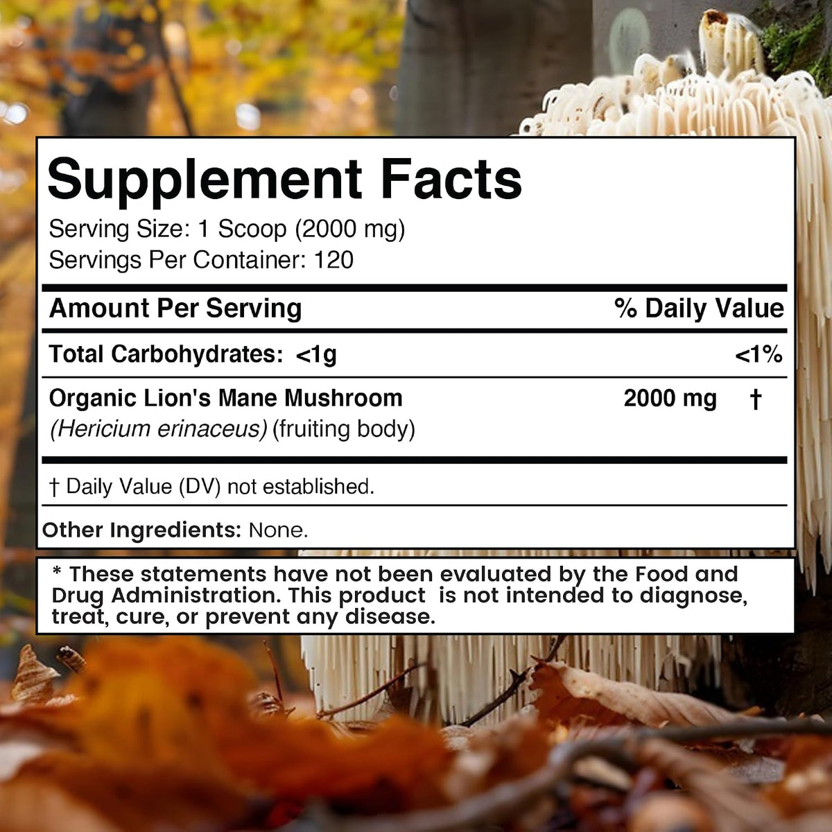 WELLNESS LABSRX Lions Mane Powder 2000mg - Mushroom Coffee Blend | Bundle