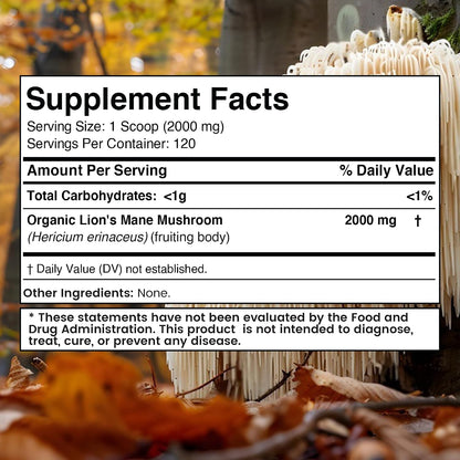 WELLNESS LABSRX Lions Mane Powder 2000mg - Mushroom Coffee Blend | Bundle