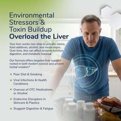 Milk Thistle Liver Detox Complex – Clinical-Grade Liver Support Supplement with Turmeric, Dandelion, Beet, Picrorhiza, Black Pepper – Phase I & II Detox
