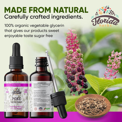 Organic Poke Root Tincture | Poke Extract Liquid for Immune & Lymphatic Support | Alcohol-Free, Vegan, Non-GMO Supplement | Made in USA | 2 Fl Oz