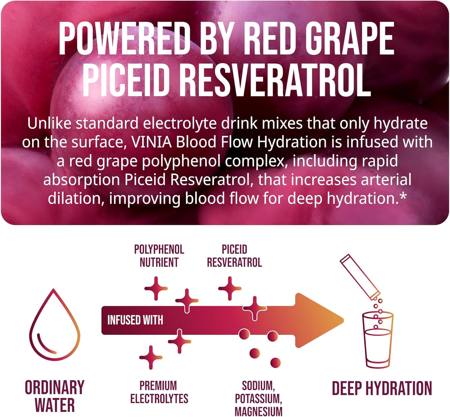 VINIA Resveratrol Electrolyte Hydration Powder Mix | Boost Blood Flow &amp; Circulation | Sea Salt, Coconut Water Potassium