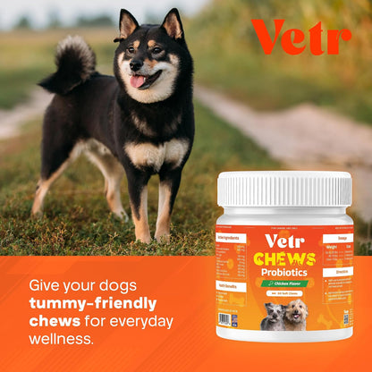 Vetr Probiotic Chews for Dogs - Chicken Flavored - Probiotics for Digestive Health - 60 Soft Chews - Vet-Formulated in USA