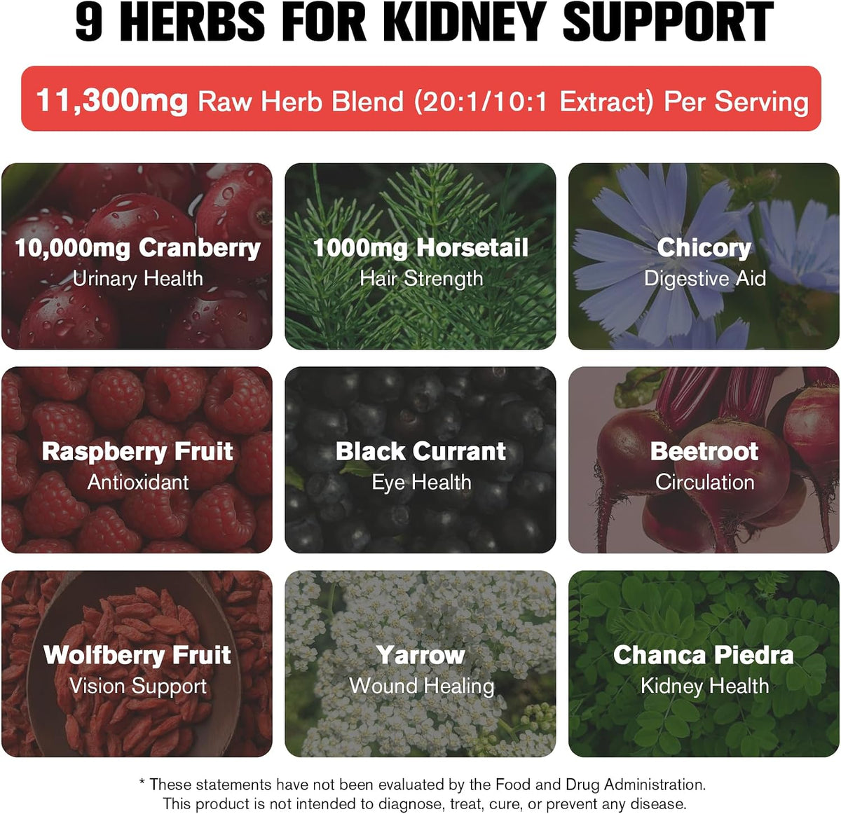 Kidney and Liver Cleanse Detox & Repair Drops, Cranberry and Milk Thistle Supplement with Artichoke, Astragalus, Horsetail – Natural Herbal for Liver, Kidney, Urinary Tract, Bladder, 60ml