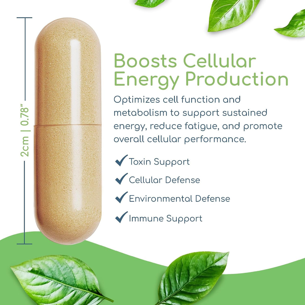 Cell Nutrients | Promotes Cell and Membrane Repair & Cell Metabolism | Helps Fight Tick-Borne Infections & More | Mitochondrial Supplements | Non-GMO, Vegan, 120 caps