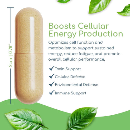 Cell Nutrients | Promotes Cell and Membrane Repair & Cell Metabolism | Helps Fight Tick-Borne Infections & More | Mitochondrial Supplements | Non-GMO, Vegan, 120 caps