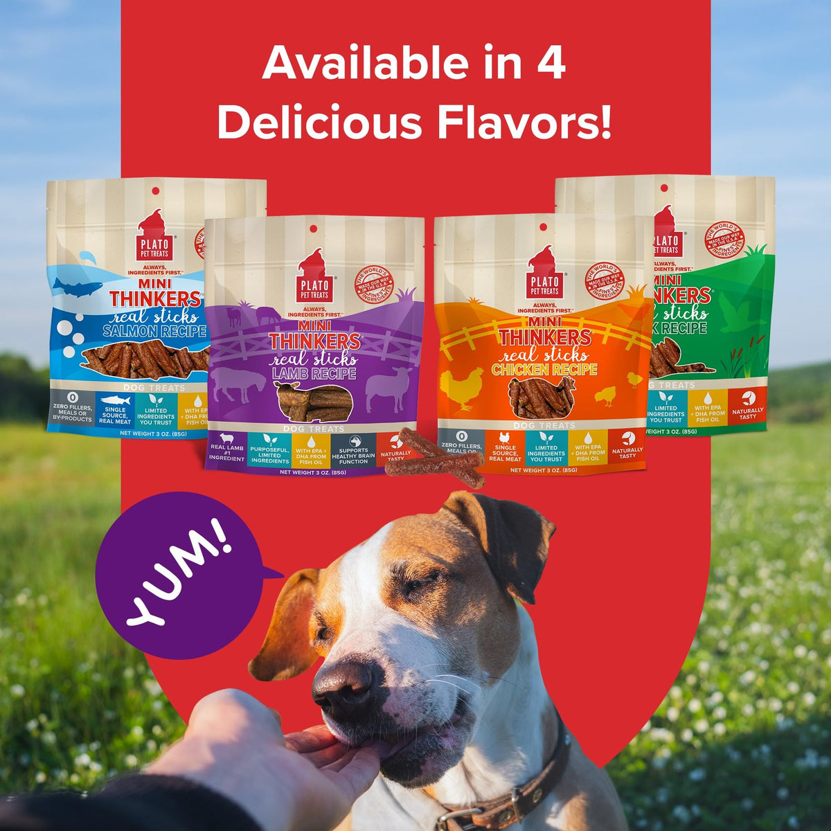 Plato Meat Sticks Salmon Dog Treats, Air-Dried High-Protein Soft Chews with Omega Fish Oil (EPA & DHA), 10 oz