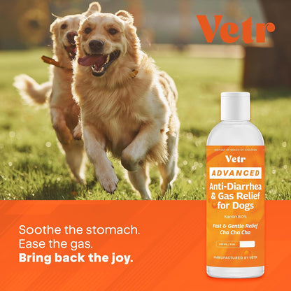 Vetr Anti-Diarrhea & Gas Relief for Dogs - Kaolin Liquid Formula for Fast Upset Stomach Soothing & Digestive Support - All Breeds & Sizes - 8 oz (240mL) - Vet-Formulated in USA