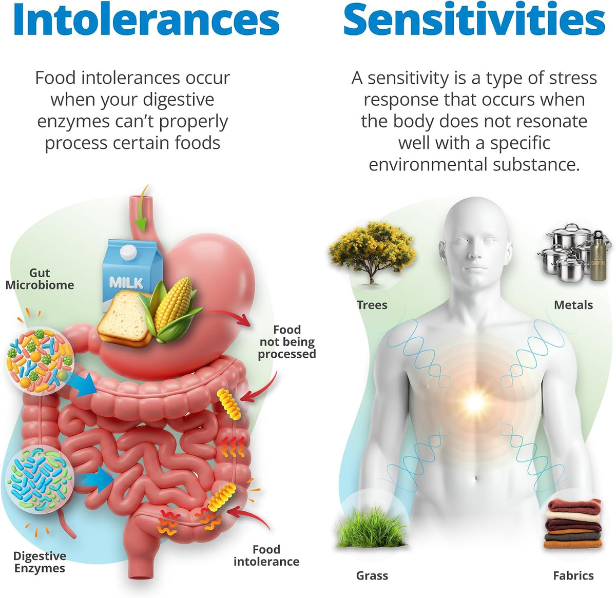 5Strands Comprehensive Health & Wellness Assessment, 1350 Items Tested