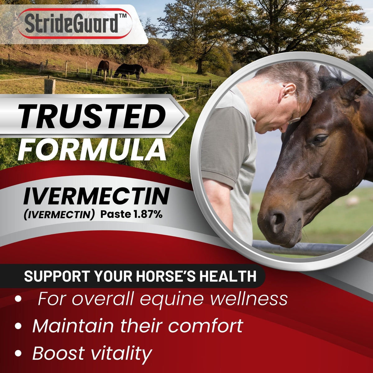 Horse Ivermectin Paste 1.87% – Apple Flavored Oral Horse Dewormer Syringe – 6.08g Tube Treats Horses Up to 1250 LB [Pack-5]