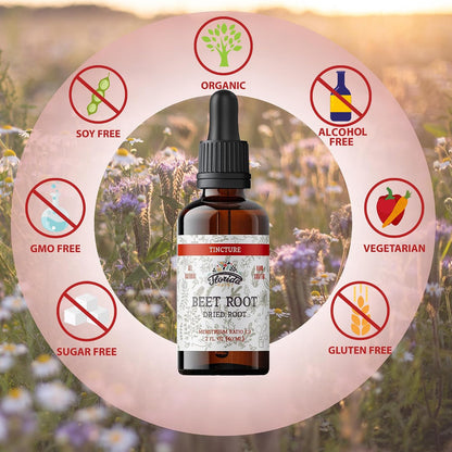 Beet Root Supplement - Liquid Beets Extra Fast Absorption - Beet Root Tincture Organic Extract, Gluten Free, 2 Fl Oz