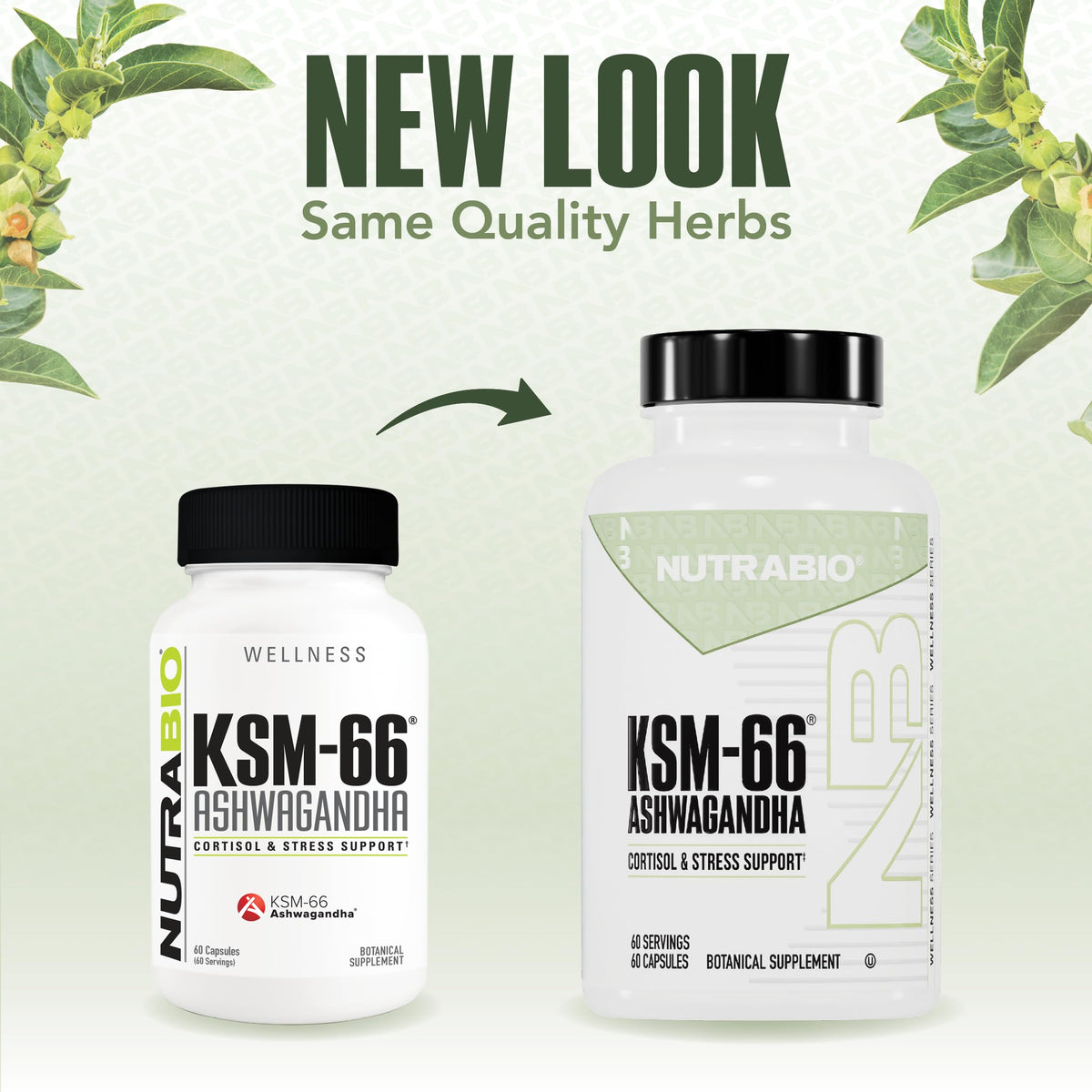 NutraBio Ashwagandha KSM-66 | Ashwagandha Herbal Supplement for Stress, Mood, & Performance | 600 MG of Clinically Studied KSM66 60 Capsules