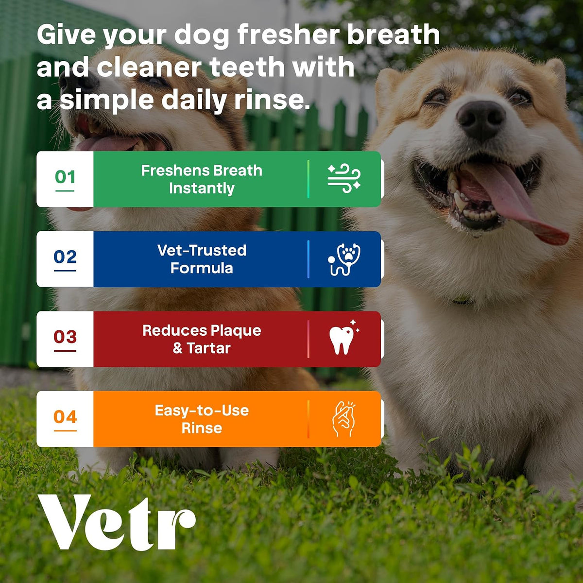 Vetr Dental Formula for Dogs - Peppermint Flavored Oral Care Liquid Additive with Enzymes for Breath and Teeth Support - Vet-Formulated in USA (16 oz)