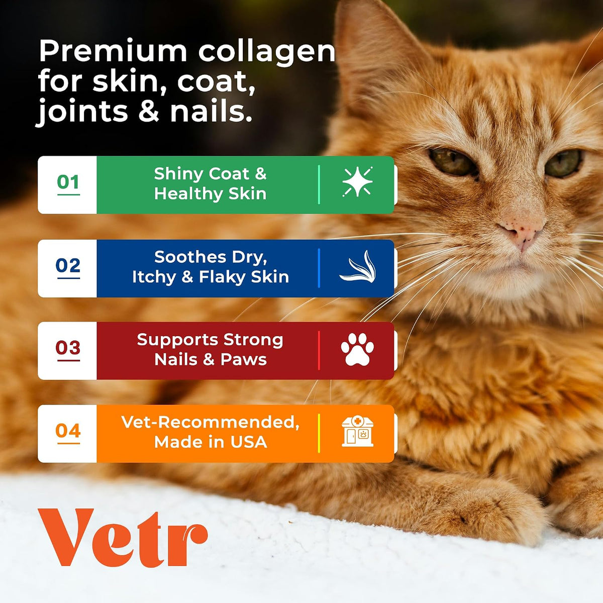 Vetr Skin & Coat Collagen for Dogs - Bacon Flavored Liquid Supplement - Supports Healthy Skin & Shiny Coat - 4 oz (120mL) - Vet-Formulated in USA