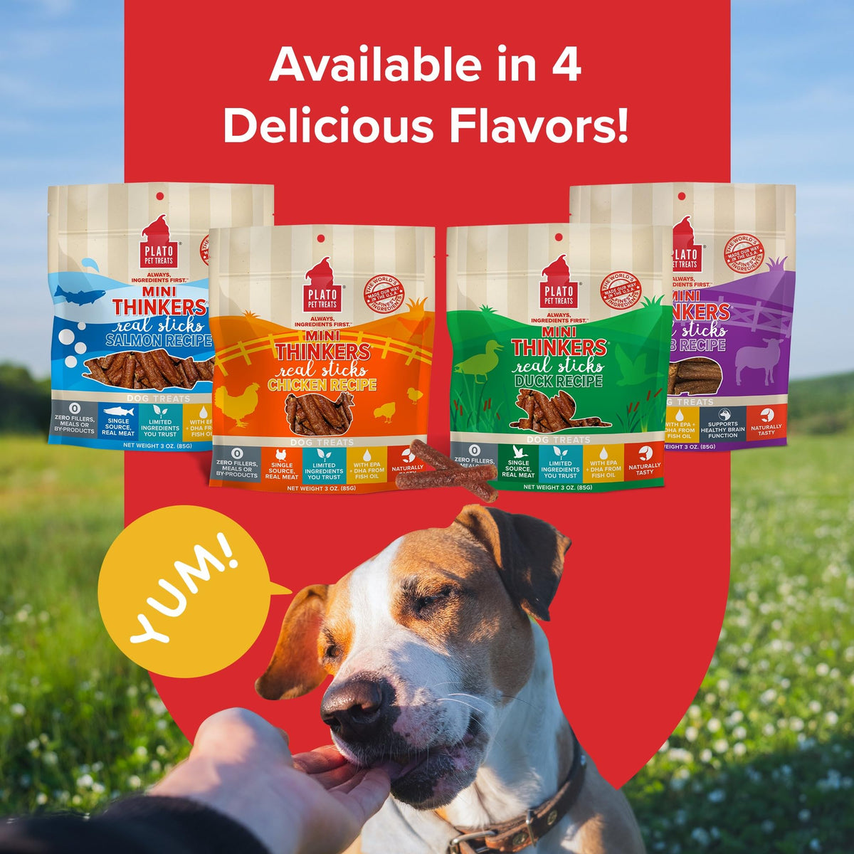 Plato Meat Sticks Salmon Dog Treats, Air-Dried High-Protein Soft Chews with Omega Fish Oil (EPA & DHA), 10 oz