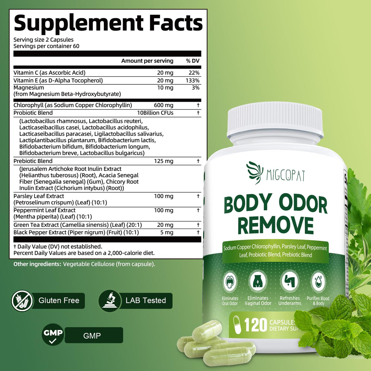 Chlorophyll Body Deodorizing Supplement, Chlorophyll Capsules with Parsley & Peppermint, Probiotic, Green Tea, Jerusalem Artichoke, Prebiotic, Supports Fresh Breath & Whole-Body Freshness, 120 Caps