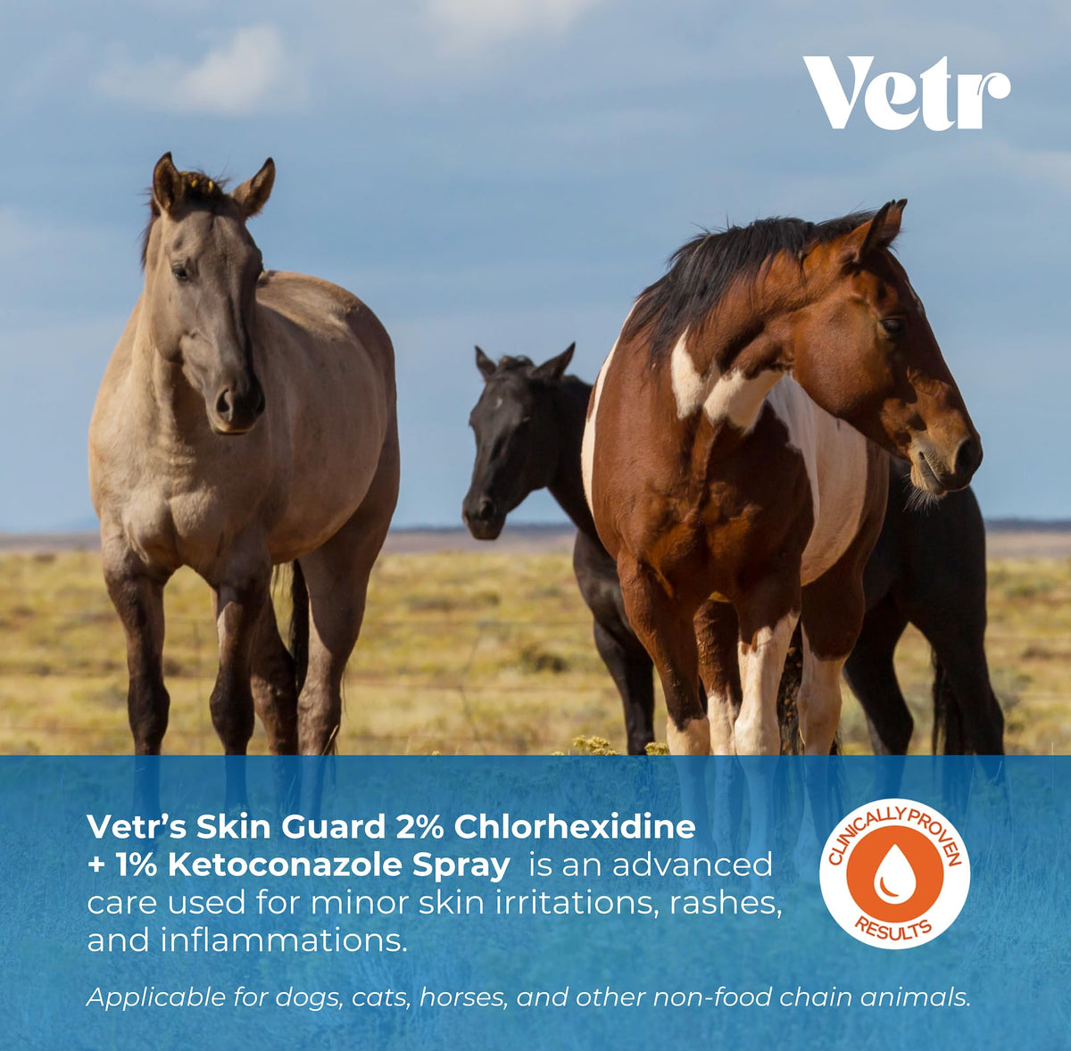 vetr Skin Relief Hydrocortisone Spray for Dogs - Topical Support for Itchy Skin and Hot Spots - 4 oz (120mL) - Vet-Formulated in USA