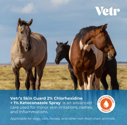 vetr Skin Relief Hydrocortisone Spray for Dogs - Topical Support for Itchy Skin and Hot Spots - 4 oz (120mL) - Vet-Formulated in USA
