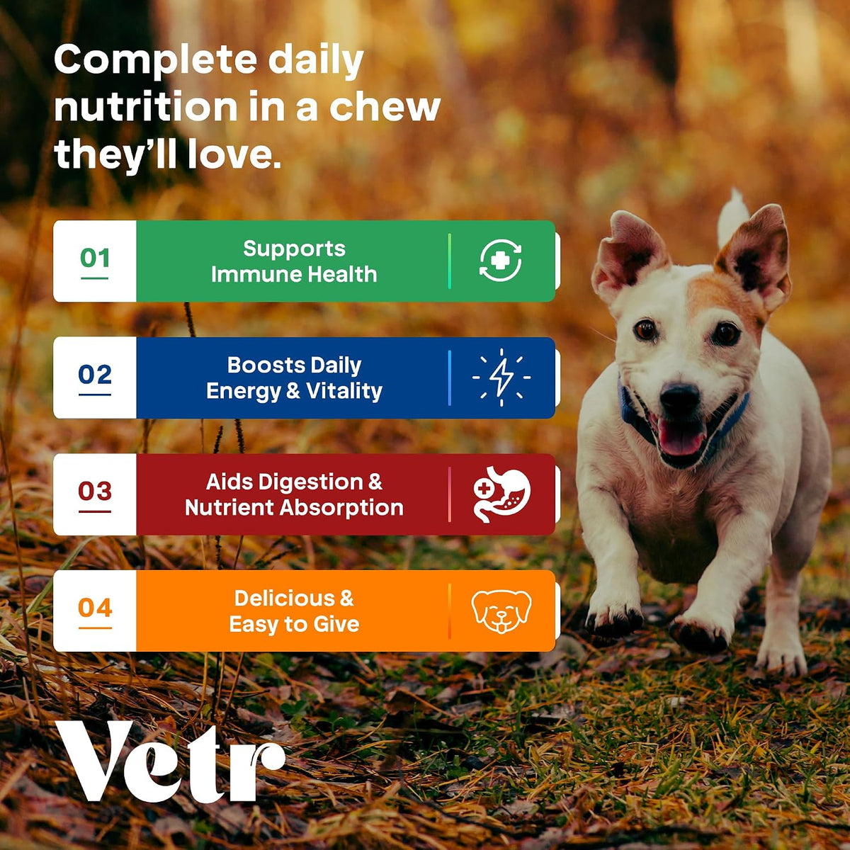 Vetr Dog Multivitamin Treats, 120 Chews Chicken Flavor, Daily Pet Dog Vitamins and Supplements with Glucosamine, Chondroitin, & Probiotics, Hip & Joint, Immune Support, & Digestive Care