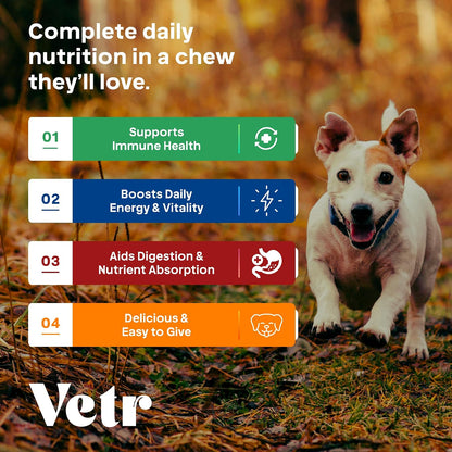 Vetr Dog Multivitamin Treats, 120 Chews Chicken Flavor, Daily Pet Dog Vitamins and Supplements with Glucosamine, Chondroitin, & Probiotics, Hip & Joint, Immune Support, & Digestive Care