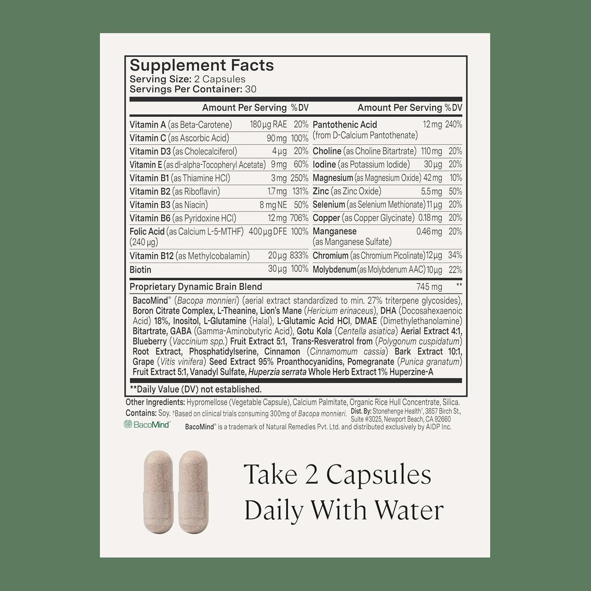 Stonehenge Health Dynamic Brain + Dynamic Turmeric Bundle Supports: Memory Acquisition, Retention, & Recall
