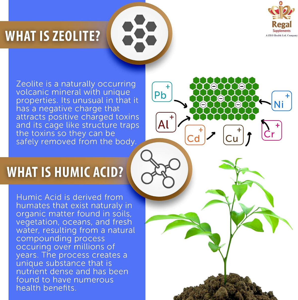 Zeolite–AV Capsules | Potent Immune System Booster with Humic Acid | Restore Trace Minerals, Replenish Electrolytes, & Detox Support| Promotes Energy, Restful Sleep & Mental Clarity (90 Count)