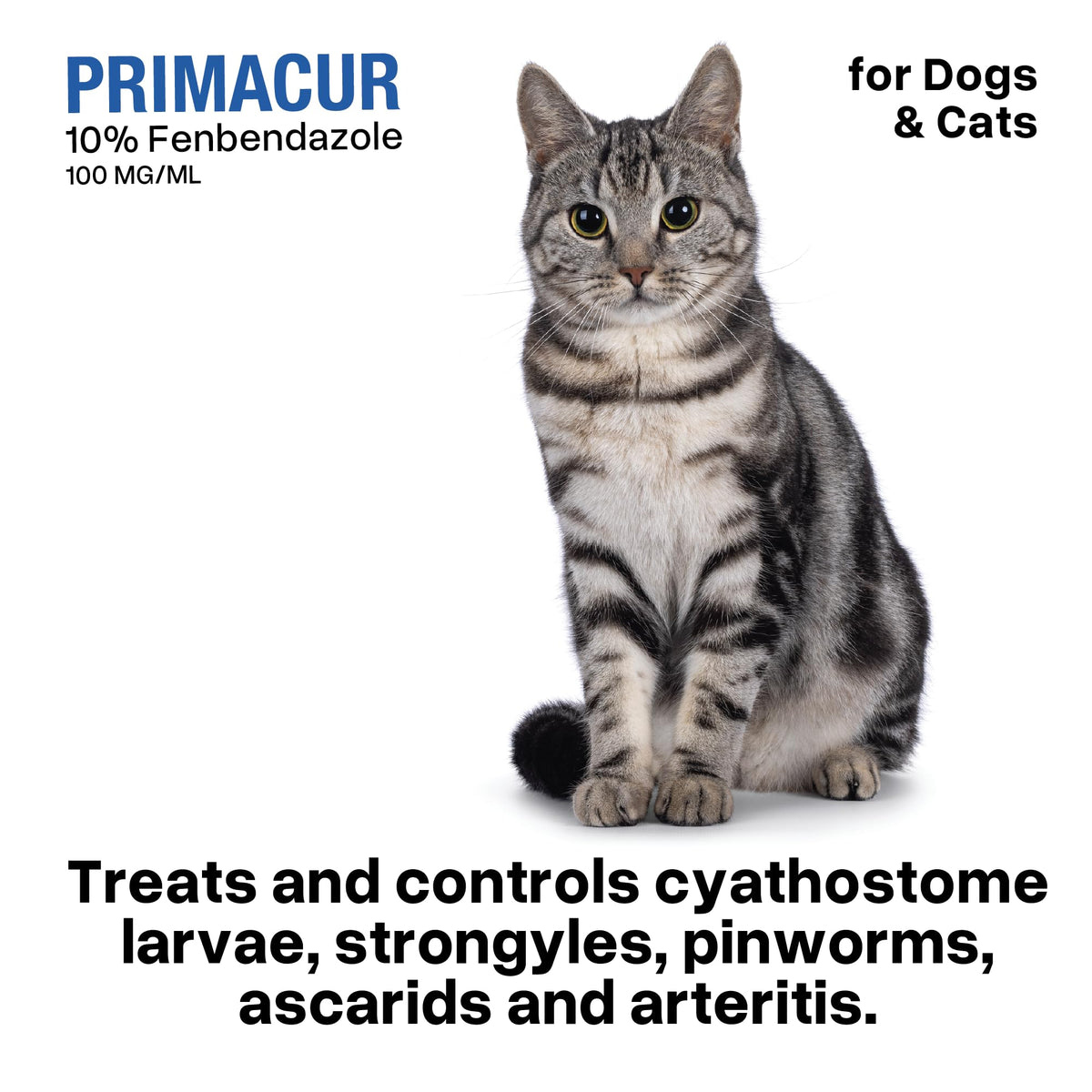vetr Primacur Broad-Spectrum Oral Suspension Support Formula 10% Oral Suspension for Dogs and Cats - 240ML/8.1oz - Bacon Flavor