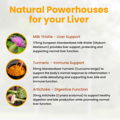 Natural Wellness Advanced Milk Thistle with Artichoke & Turmeric – Liver Support & Detox Supplement for Healthy Liver Function, Bile Flow