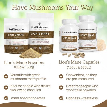 Real Mushrooms Ergothioneine (60ct) and Lions Mane (120ct) Bundle with Shiitake and Oyster Mushroom Extracts - Longevity and Cognition - Vegan, Gluten Free, Non-GMO