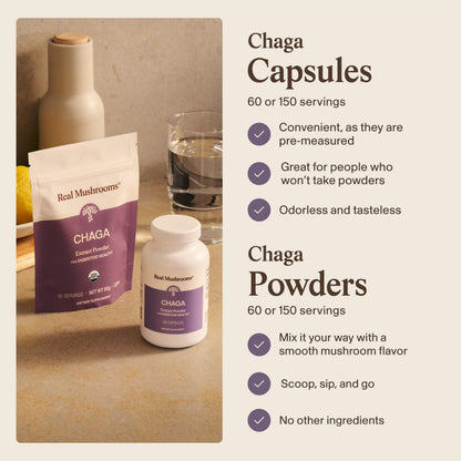 Real Mushrooms Chaga Mushroom Powder – Organic Chaga Extract from Fruiting Body – for Daily Wellness & Energy Support – Vegan, Non-GMO, 60 Servings Mushroom Supplement