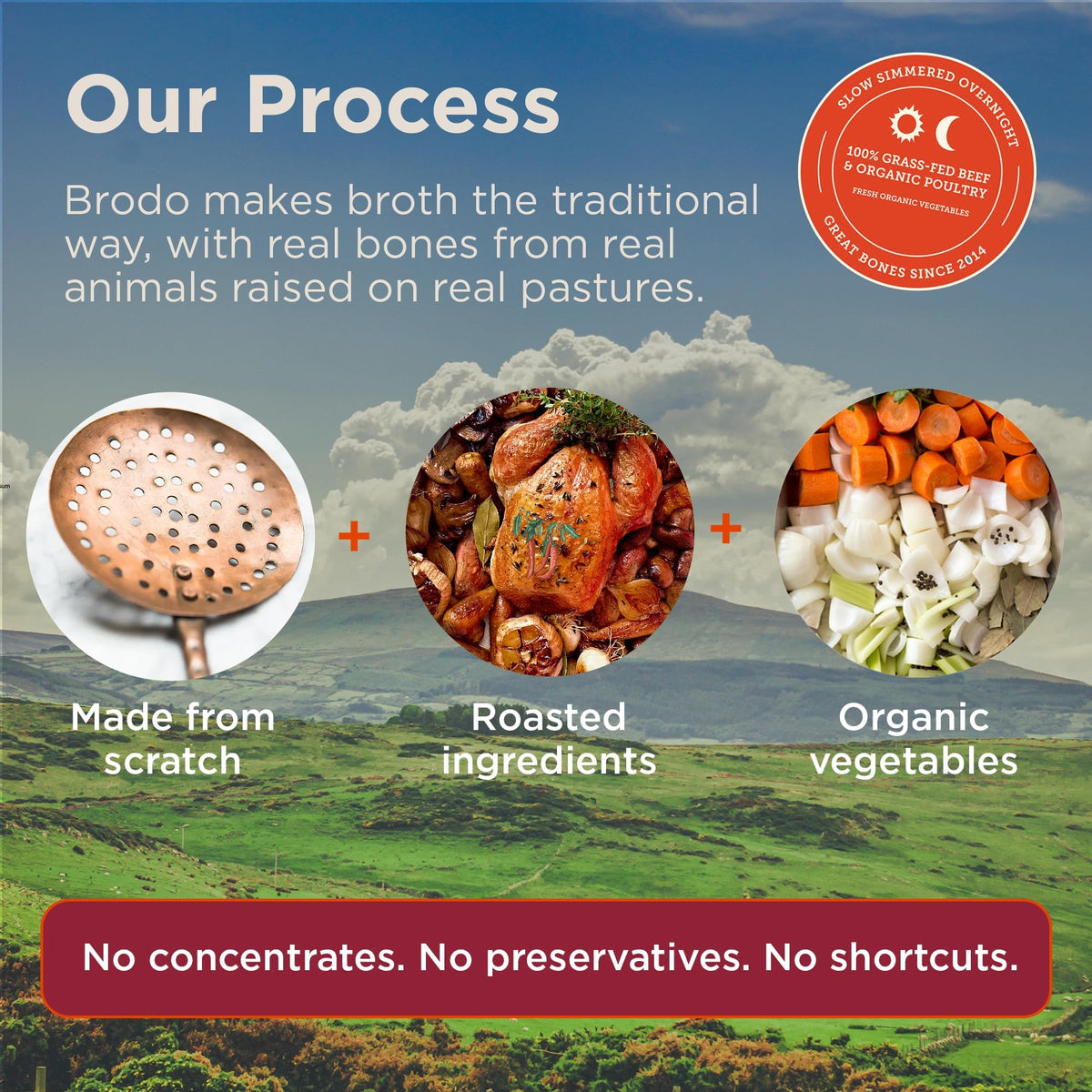 Brodo Ready to Drink Organic Chicken Collagen Rich Bone Broth (6 X 8 oz) | Organic Bone Broth with Collagen, Protein Soup & Sipping Broth for Healthy Meal Prep, Soups and Bone Broth Packets