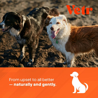 Vetr Anti-Diarrhea & Gas Relief for Dogs - Kaolin Liquid Formula for Fast Upset Stomach Soothing & Digestive Support - All Breeds & Sizes - 8 oz (240mL) - Vet-Formulated in USA