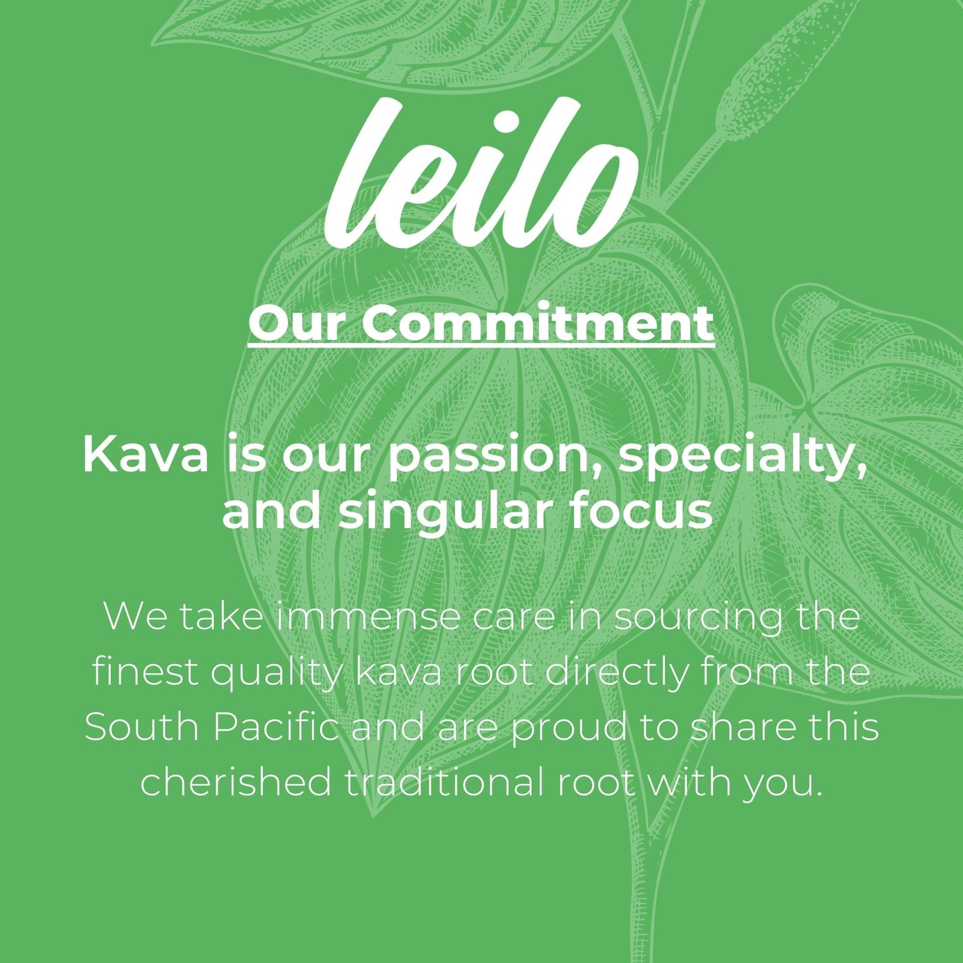 Leilo | Kava Powered Lime Margarita Mocktail Drink | Sugar-Free & Non-Alc Functional Relaxation Support | 12 fl oz Cans (Pack of 12) LEILO buy supplements Au