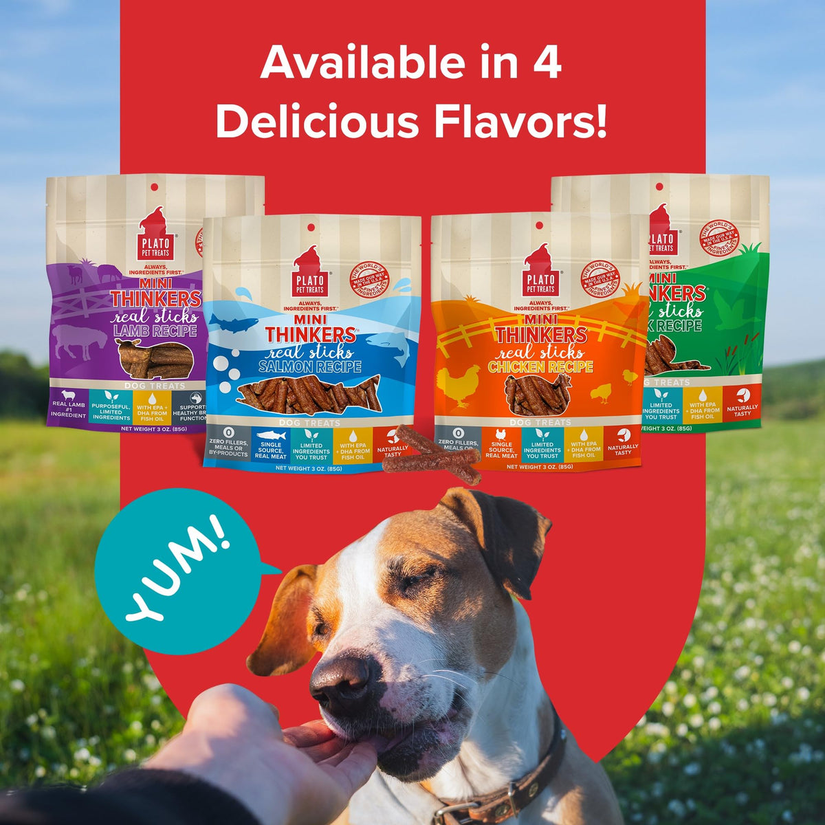 Plato Meat Sticks Salmon Dog Treats, Air-Dried High-Protein Soft Chews with Omega Fish Oil (EPA & DHA), 10 oz