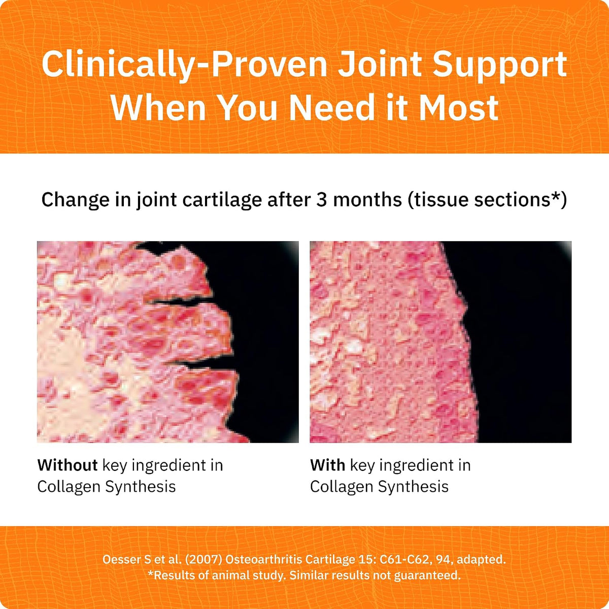 SaltWrap Collagen Synthesis Peptides for Joint and Tendon Recovery | NSF Certified for Sport, Patented Tendoforte and Fortigel Support Cartilage Repair, Unflavored Collagen Powder Supplement