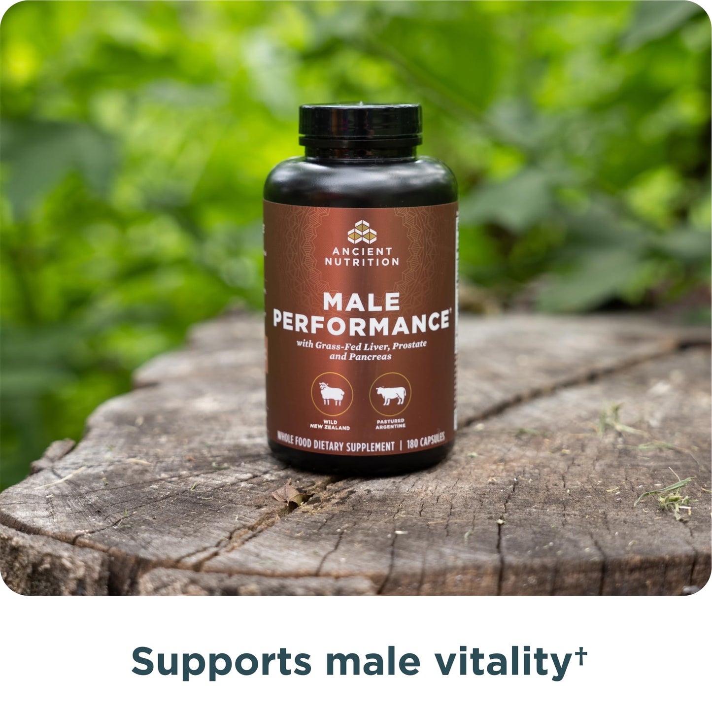 Ancient Nutrition Organ Supplements for Men, Grass-Fed and Wild Organ Complex Capsules, Liver, Prostate, Pancreas Supports Male Performance, Healthy Aging, 180 Ct Ancient NutritionBuy Supplements Australia