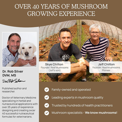 Real Mushrooms Lions Mane for Humans (300ct) and Pets (120ct) - Bundle for Cognition & Immunity - Vegan, Non-GMO, Gluten-Free, Grain-Free Mushroom Extract Supplements