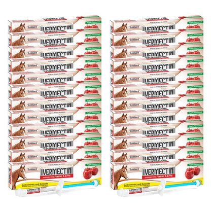 Horse Ivermectin Paste 1.87% – Apple Flavored Oral Horse Dewormer Syringe – 6.08g Tube Treats Horses Up to 1,250 lbs [Pack-1]
