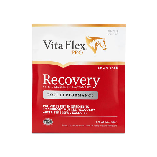 Vita Flex Pro Recovery by the Makers of Lactanase, Post Performance Horse Supplements 40 g, Show Safe Muscle Recovery Supplements, Amino Acids for Horses, Strength & Joint Health Vita FlexBuy Supplements Australia