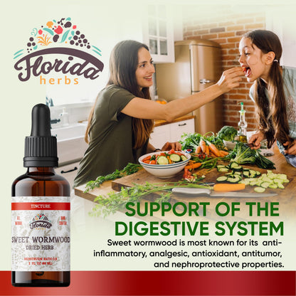 Wormwood Organic Tincture - Natural Intestinal Cleanse and Digestive Cleanse Supplement - Wormwood Herb Extract for Detox - Made in USA - 2 Fl Oz (Wormwood - 2 Fl Oz)