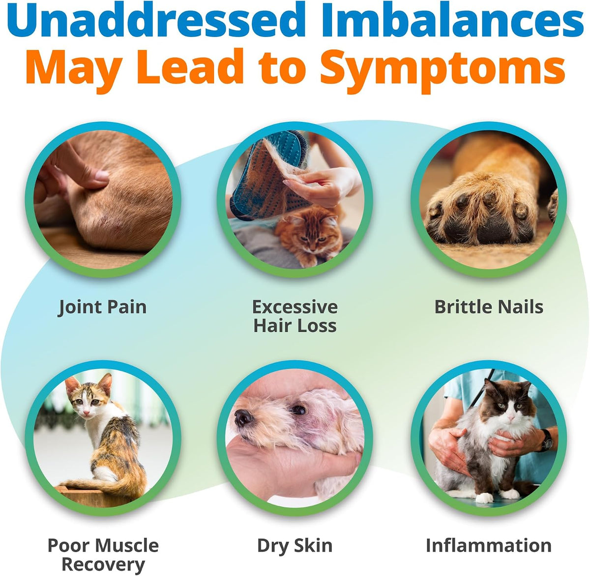 5Strands Pet Nutritional Imbalance Test, Health Assessment for Dogs & Cats
