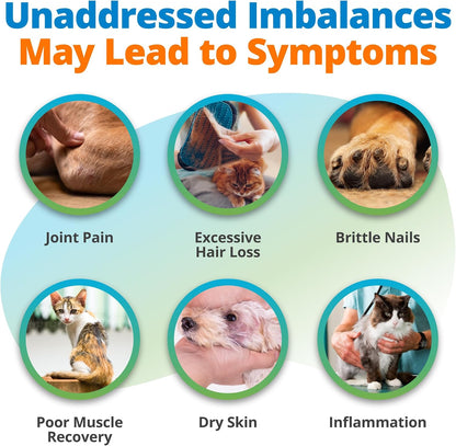 5Strands Pet Nutritional Imbalance Test, Health Assessment for Dogs & Cats