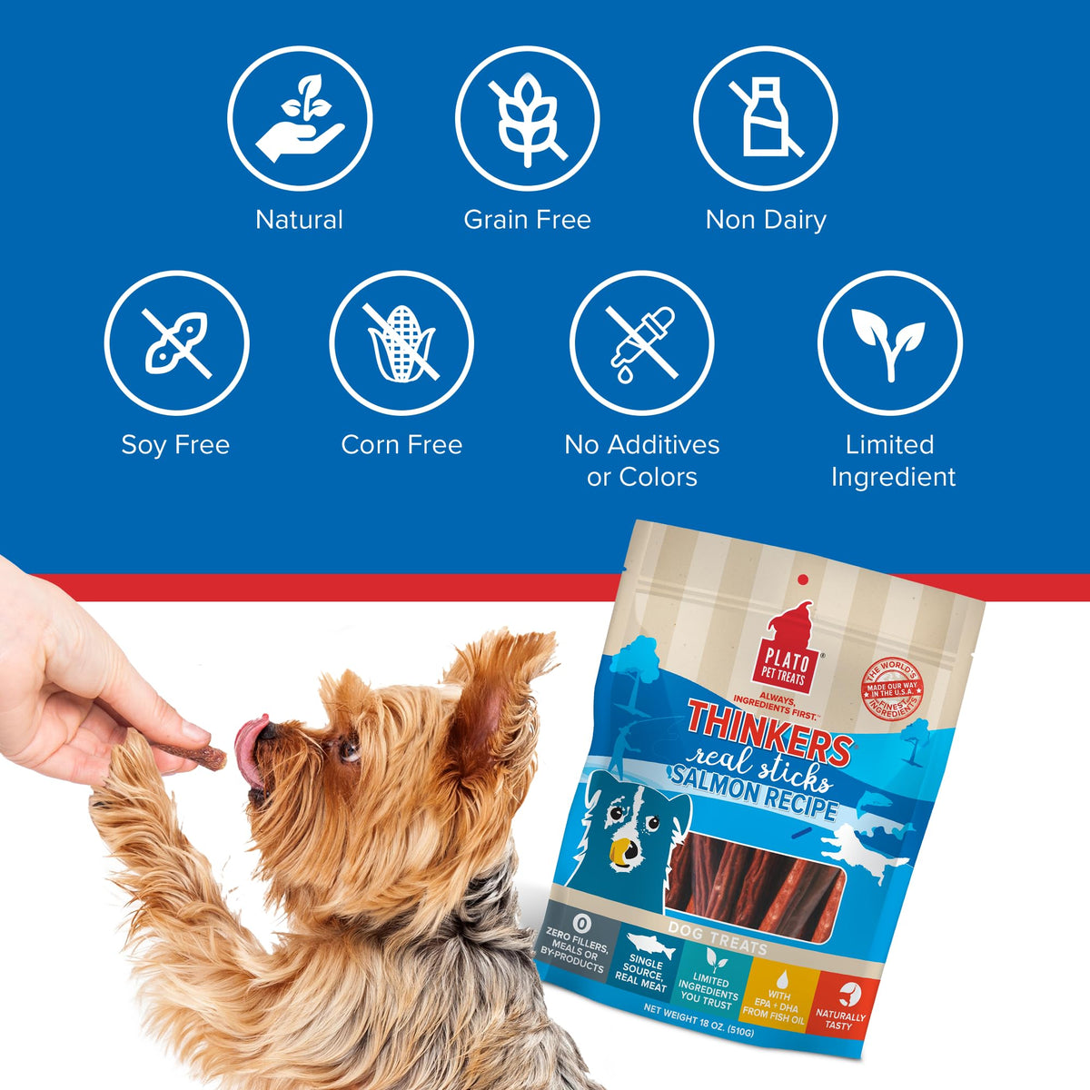 Plato Pet Treats Thinkers - Meat Stick Treats for Dogs - Limited Ingredient with EPA and DHA to Support Skin, Coat, and Brain - Air-Dried - Thinkers Salmon 10oz - 2 Pack
