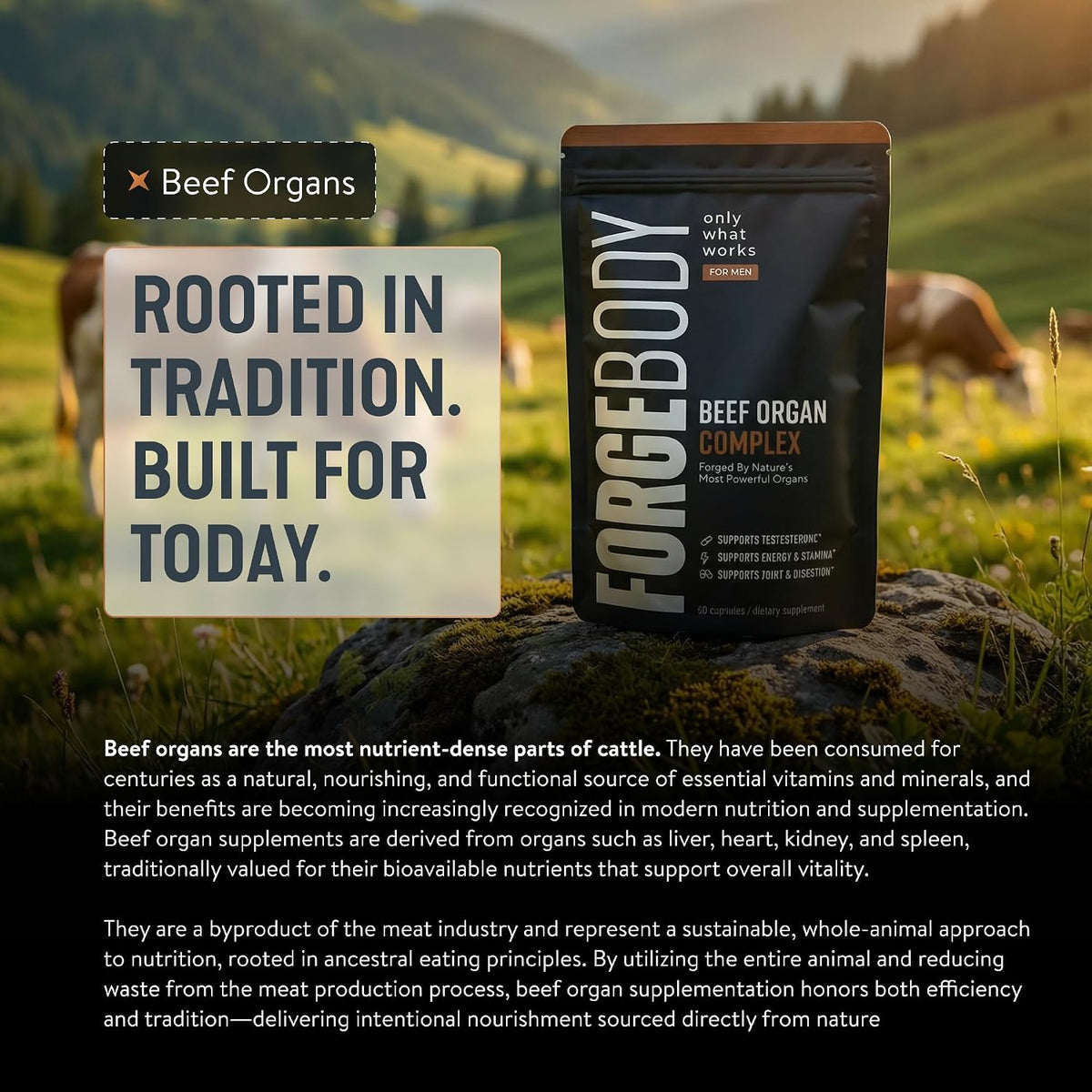 Forgebody Beef Liver & Organ Complex, Grass-Fed 5-Organ Supplement, 1 Month | Grass-fed beef liver, heart, bone marrow, pancreas, testicles, freeze-dried, non-GMO, ancestral nose-to-tail nutrition