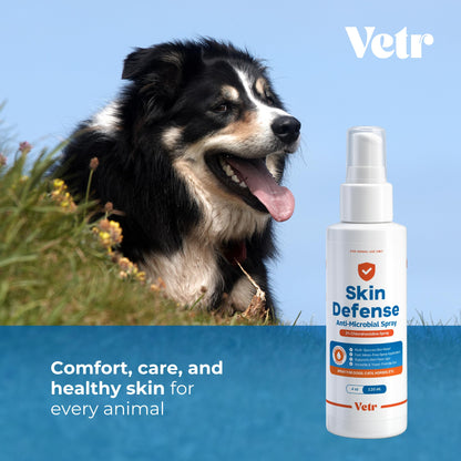 vetr Skin Relief Hydrocortisone Spray for Dogs - Topical Support for Itchy Skin and Hot Spots - 4 oz (120mL) - Vet-Formulated in USA