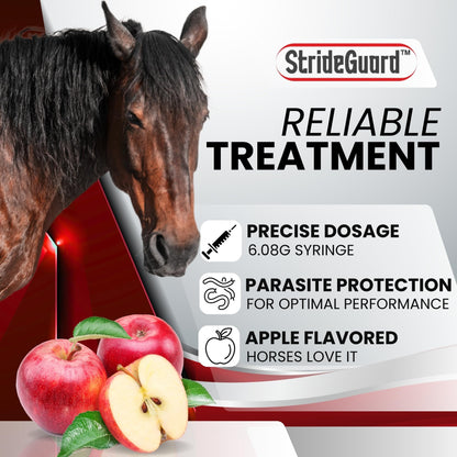 Horse Ivermectin Paste 1.87% – Apple Flavored Oral Horse Dewormer Syringe – 6.08g Tube Treats Horses Up to 1,250 lbs [Pack-1]
